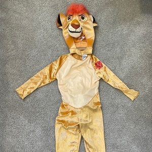 Lion guard costume